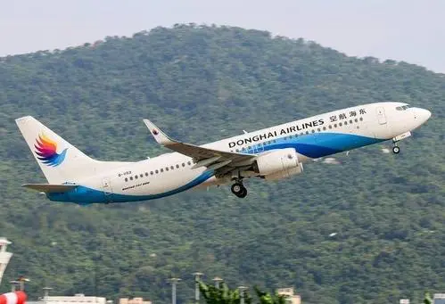 恐怖！乘客高空飞机上发生肢体冲突！