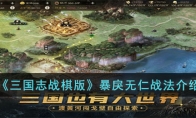 《三国志战棋版》攻略——暴戾无仁战法解析