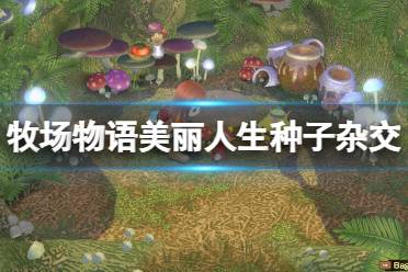 《牧场物语Welcome美丽人生》攻略——杂交种子怎么获得