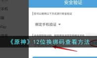 《原神》攻略——12位换绑码查看方法