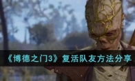《博德之门3》攻略——复活队友方法