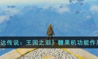 《塞尔达传说：王国之泪》攻略——糖果机功能作用解析