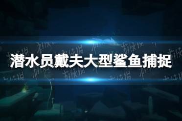 《潜水员戴夫》攻略——大型鲨鱼怎么抓