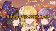 《原神》攻略——妮露天赋升级突破材料有哪些