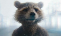 （新闻）动保PETA：《银河护卫队3》是年度最佳动物权利电影