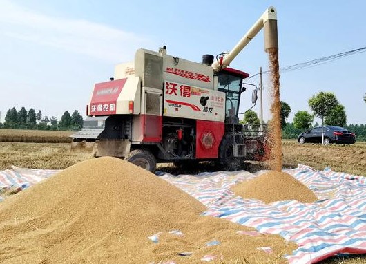 赴河南收割机被安徽村民拦下，留下就地作业引争议（2023收割机被拦）