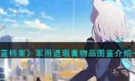 《蔚蓝档案》攻略——军用遮瑕膏物品图鉴解析