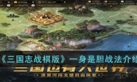 《三国志战棋版》攻略——一身是胆战法解析