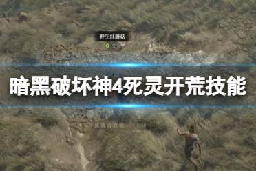 《暗黑破坏神4》攻略——死灵开荒选择什么技能